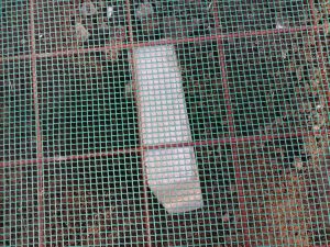 Fundul lăzii pentru compost este căptușit cu plasă de sârmă și rețea din plastic