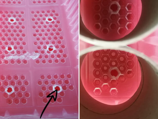 Tavite din plastic cu gauri pentru drenaj in care vor fi asezate tuburi din carton pentru a semana rasaduri de rosii